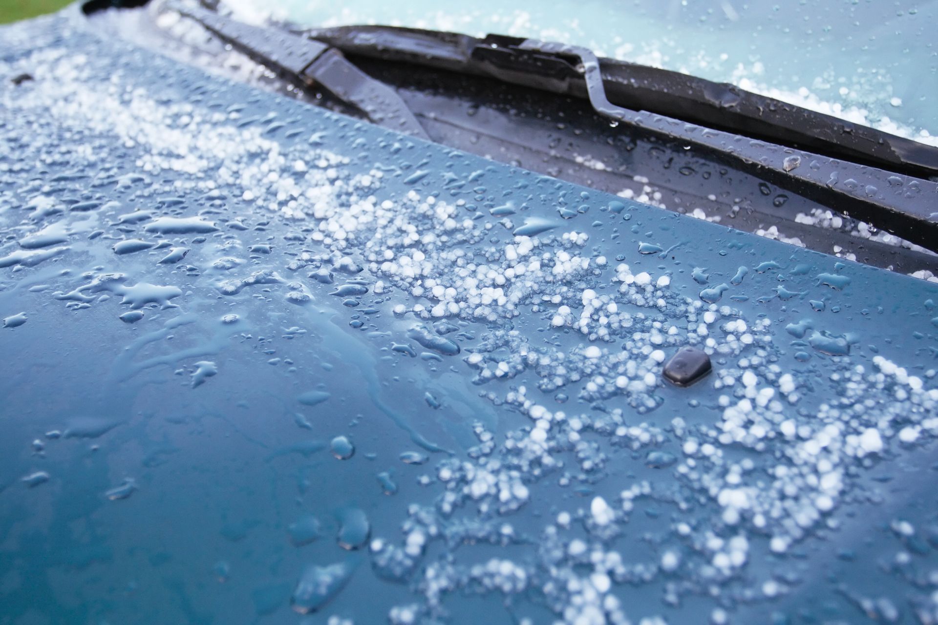 Hailstones melting on a blue car hood, highlighting the need for auto hail repair.