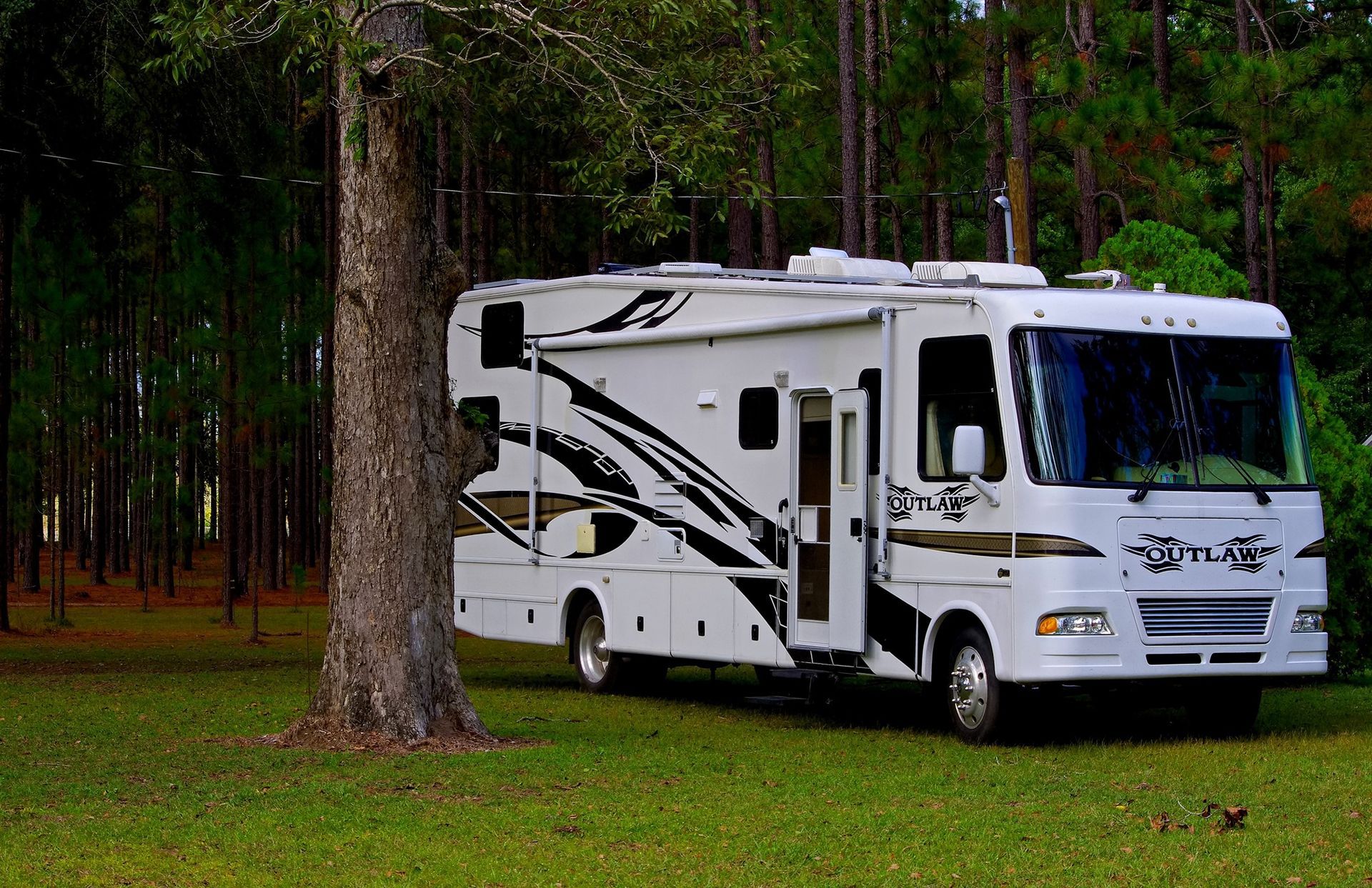 White RV parked on green grass near a tree, in a forest setting.