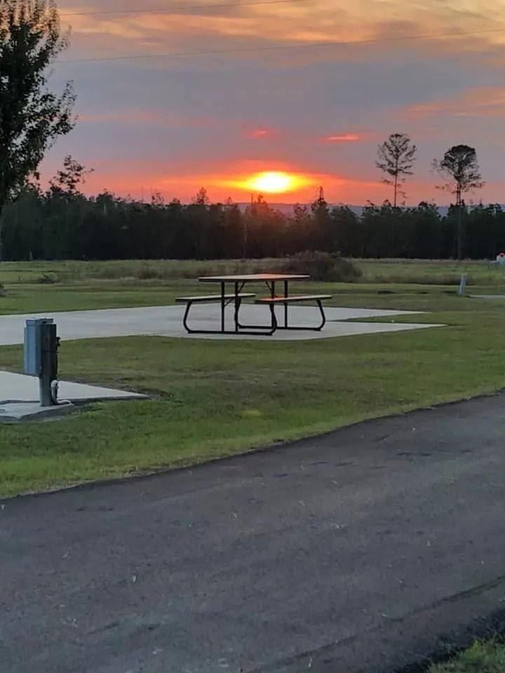 Sunset over a grassy field with a picnic table; trees in the background, paved path in the foreground.