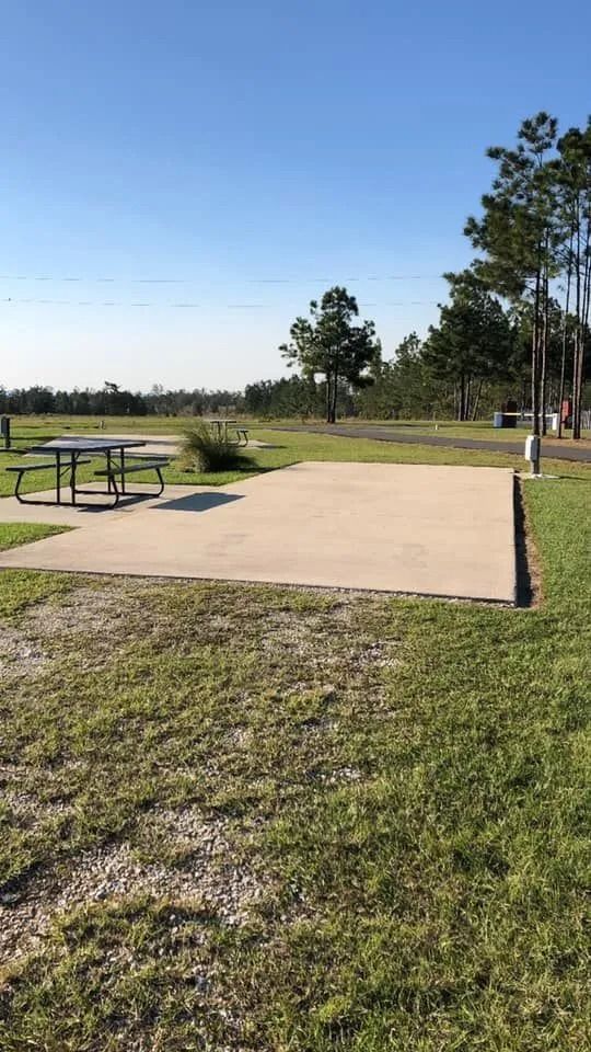 Empty campsite with picnic table and concrete pad, sunny day.