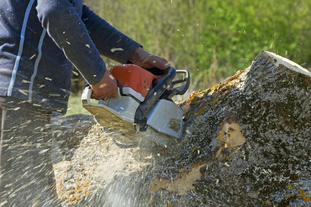 Person using a chainsaw to cut a log, wood chips flying.