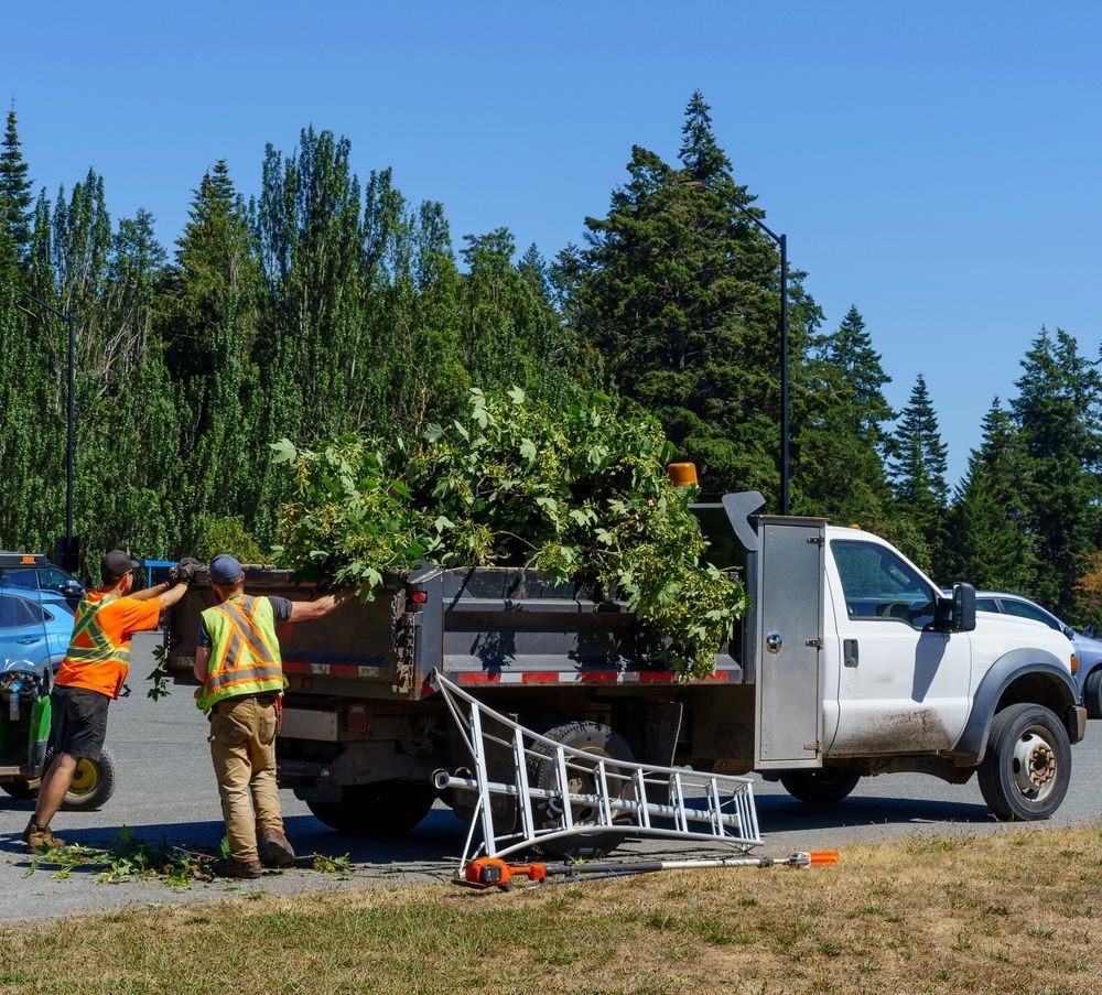 Two people loading cut branches into a white truck in a park, ladder on the ground.