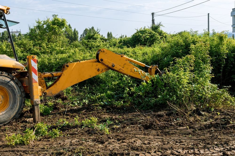 Yellow backhoe clearing overgrown brush in a muddy field.