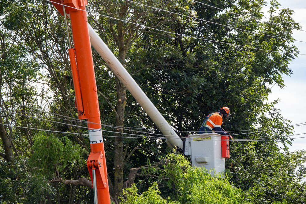 Two utility workers in an orange bucket truck repairing power lines near lush green trees.