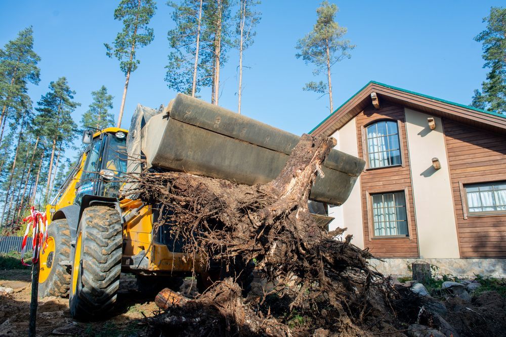 Yellow tractor removing tree roots near a wood-sided house.