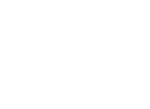 White background.