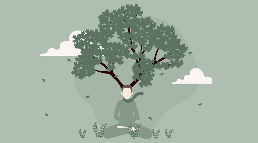 Eine Person sitzt im Lotussitz unter einem Baum.