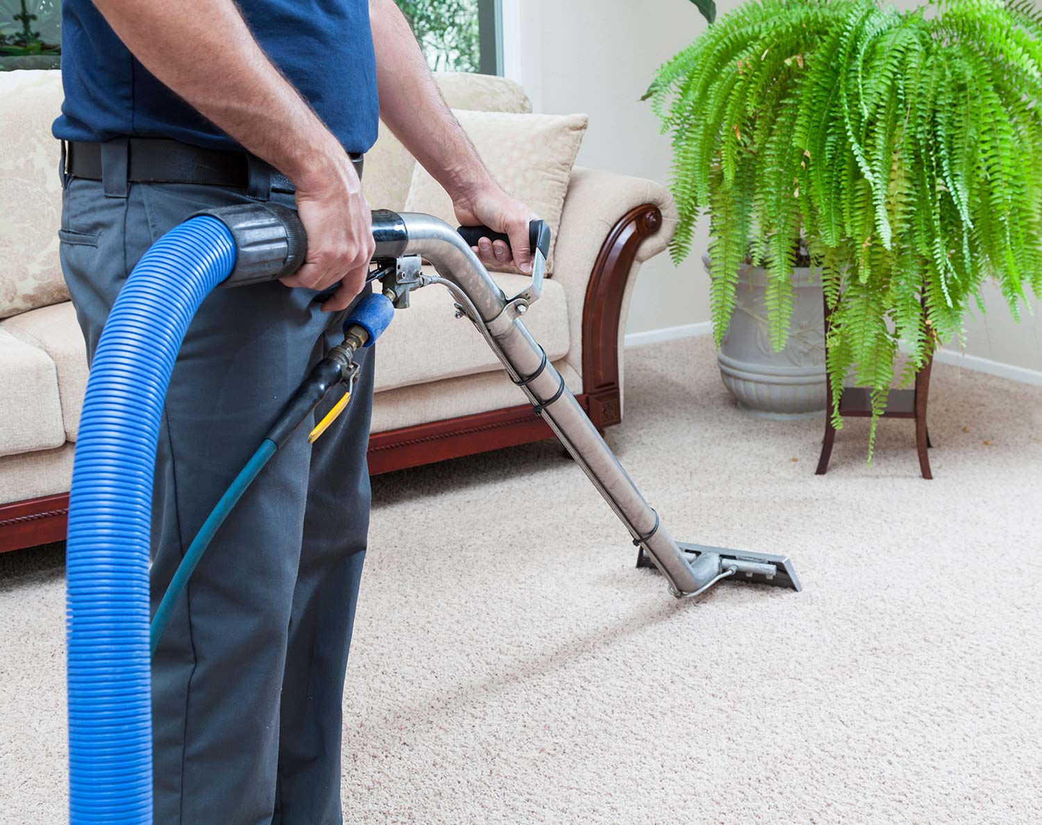 Professional carpet steam cleaning фото 103