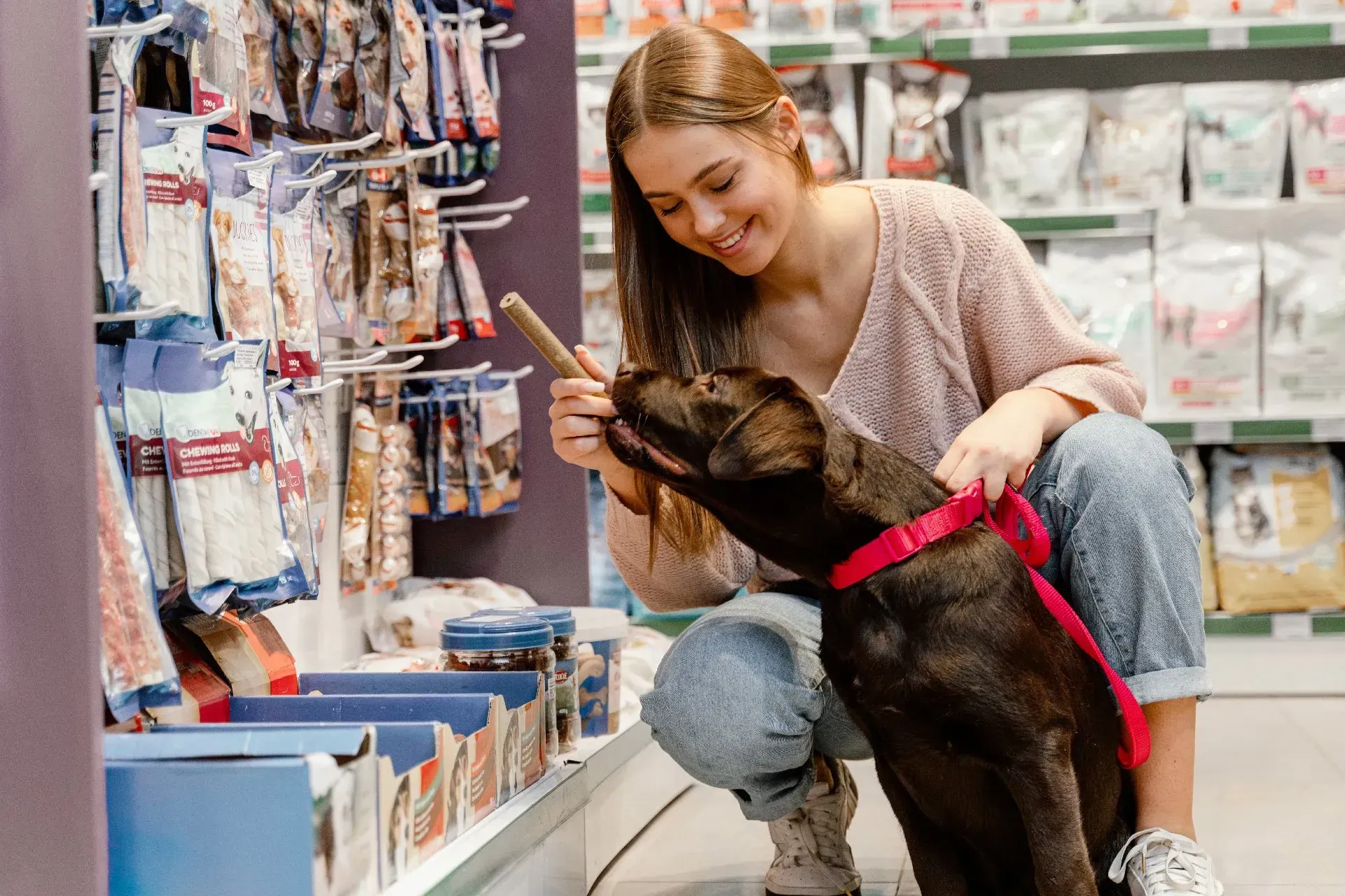 veterinaria-huaytiquina