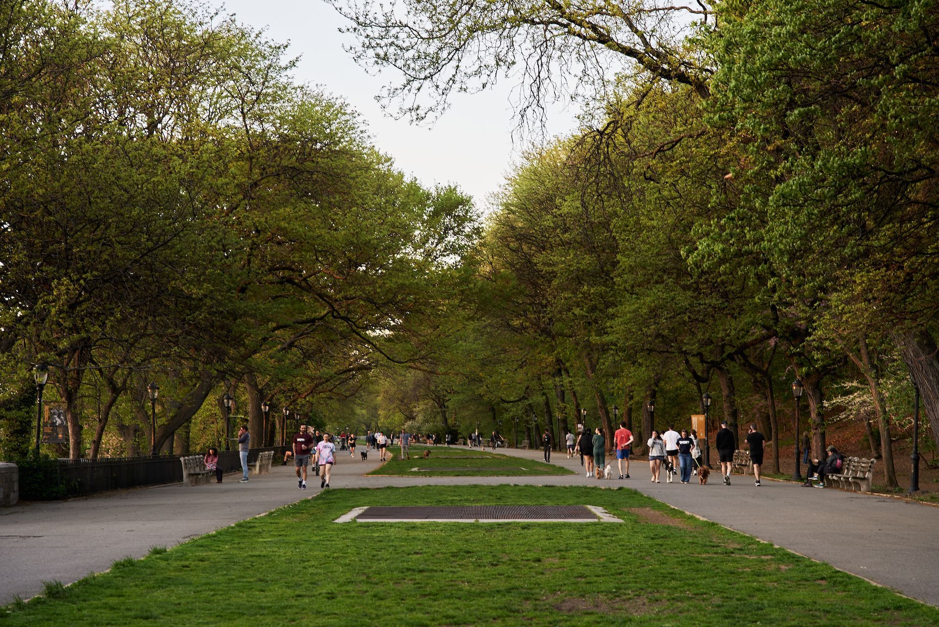 A group of people are walking down a path in a park.