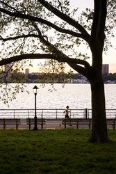 A person is running in a park near a body of water