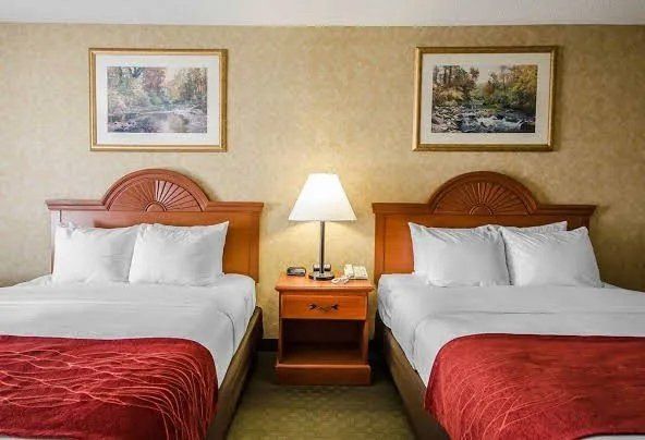 Two Beds — St. Anthony, IN — Tri Plastics