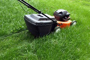 Design and lawn maintenance