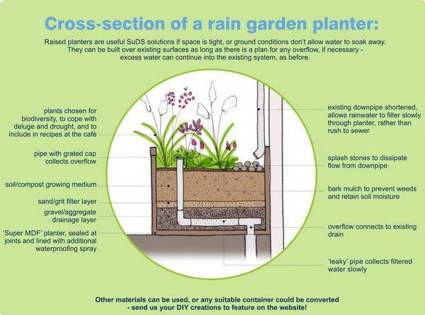 rain garden planter
