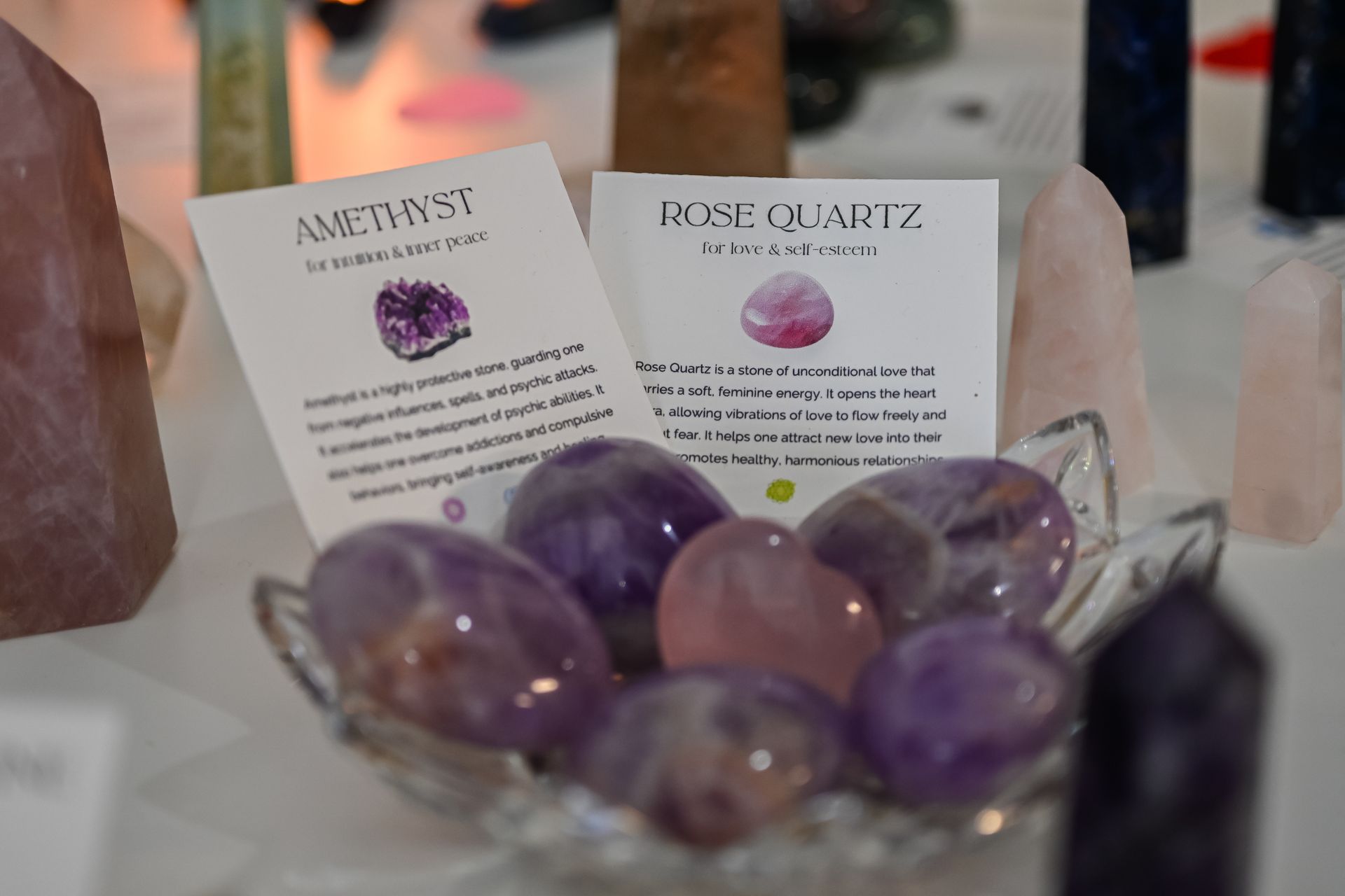 A person is holding a bowl of amethyst and rose quartz crystals.