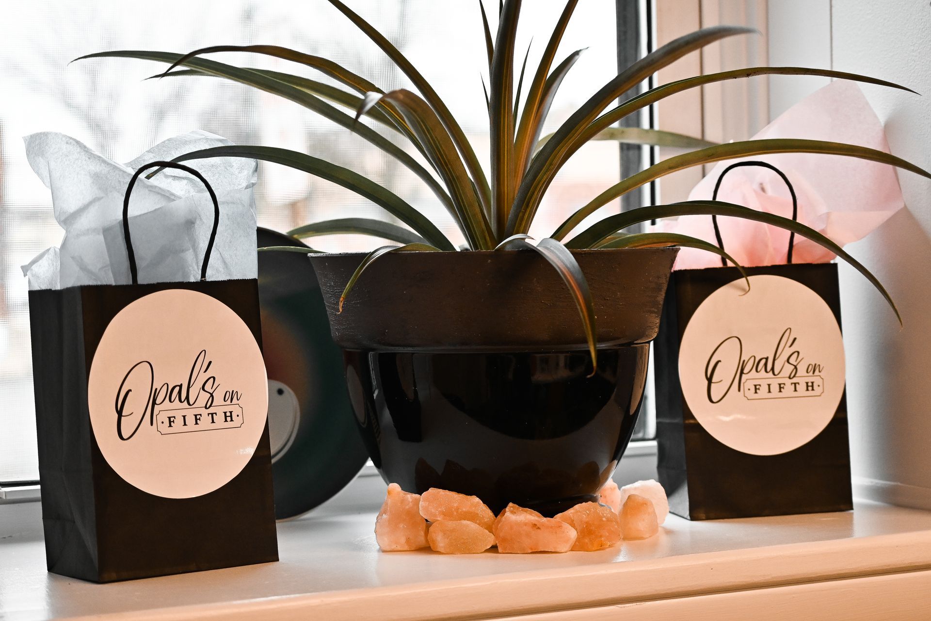 A potted plant is sitting on a window sill next to two shopping bags.