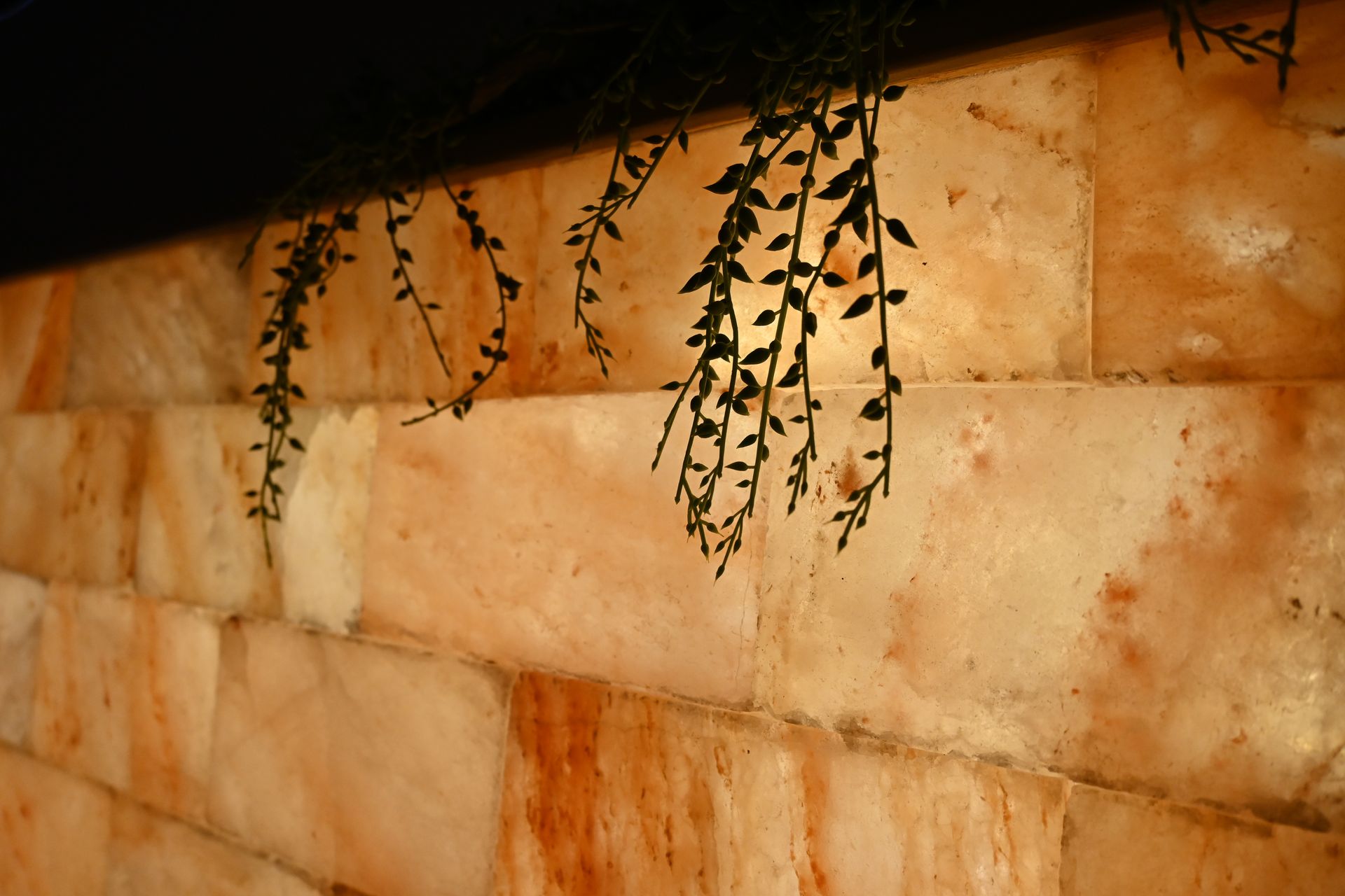 Himalayan salt rocks