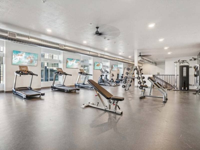 Indoor apartment gym with treadmills, weight benches, and free weights.