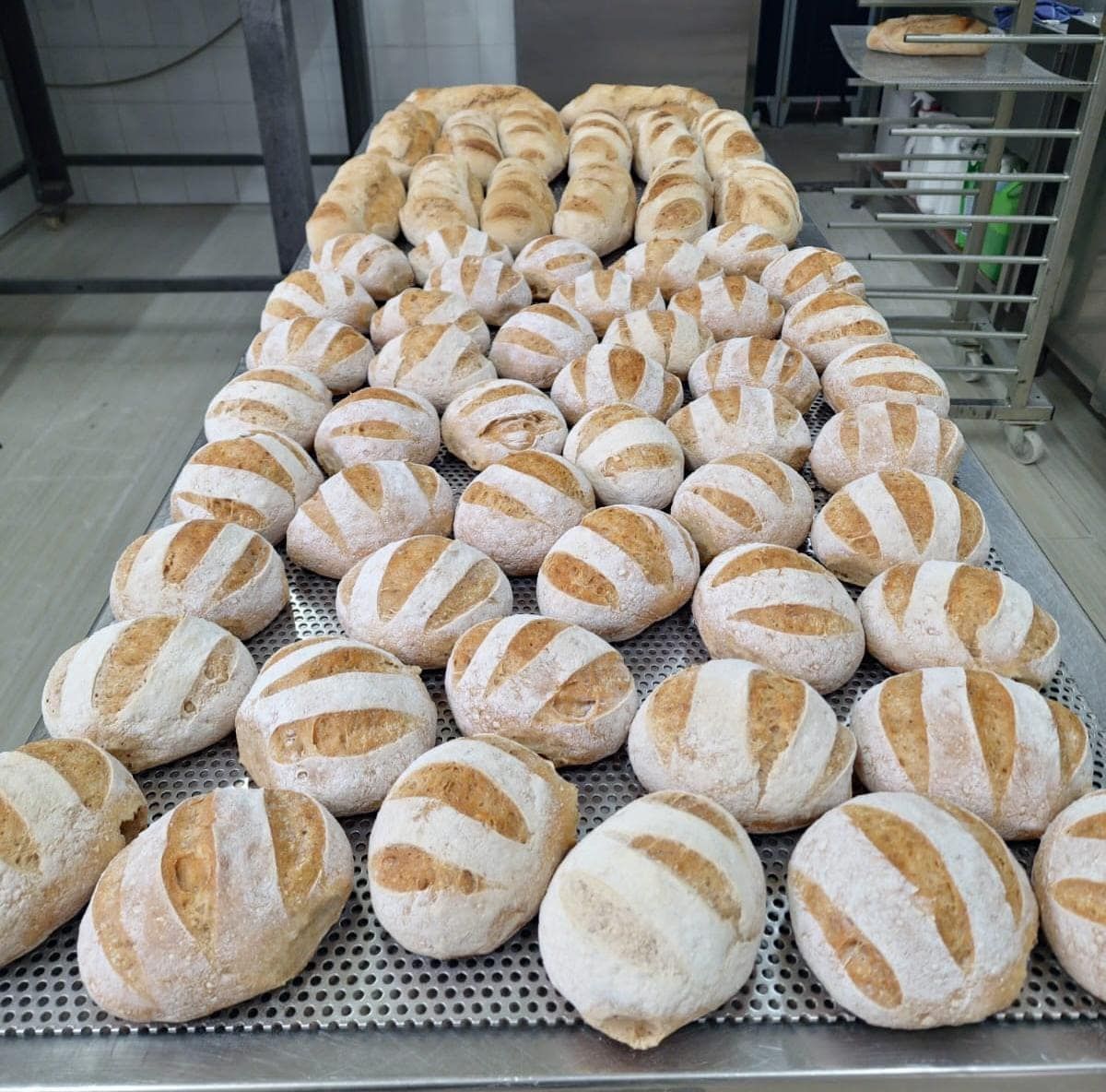 La Puccia