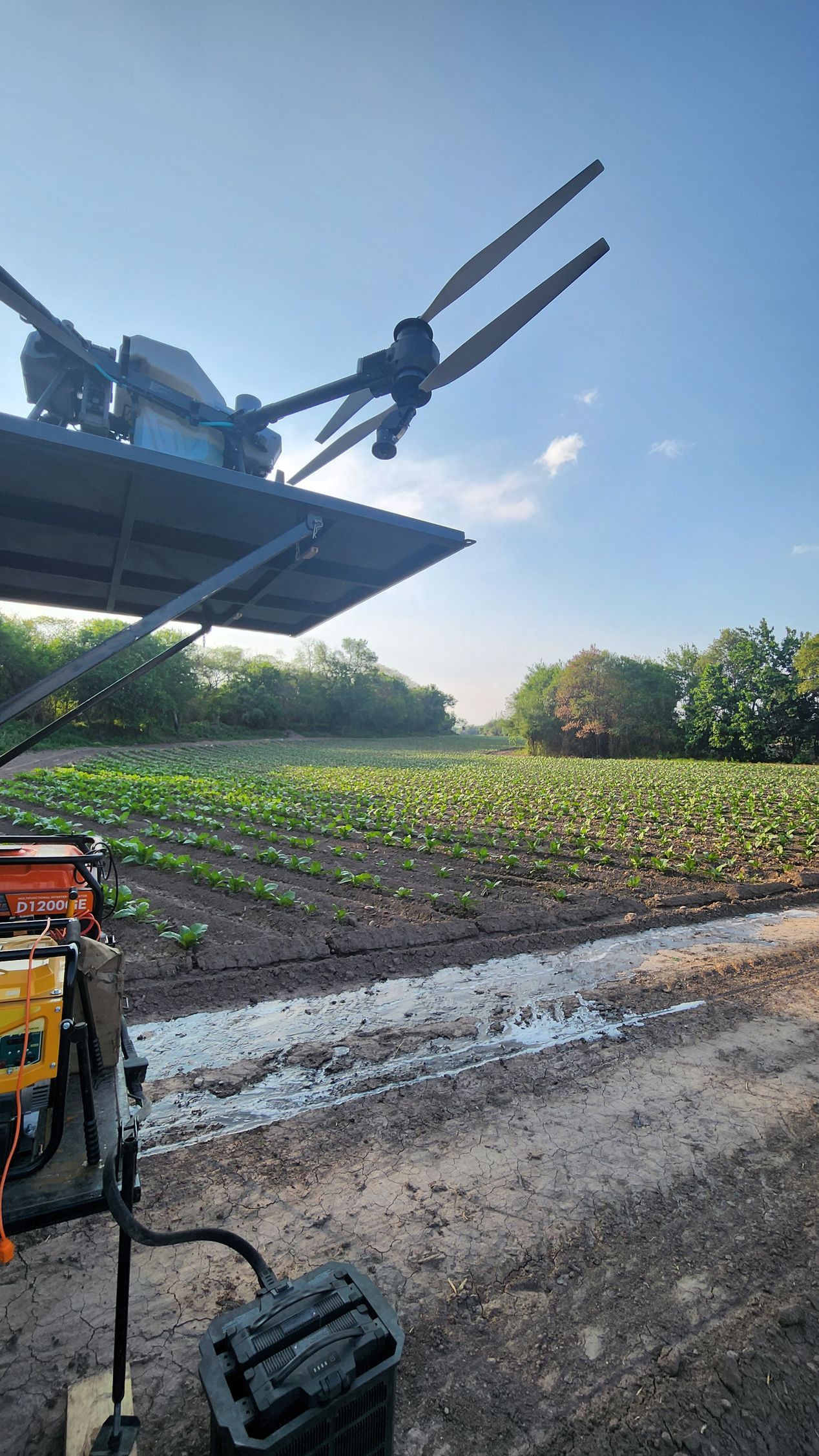 Una persona está parada en un campo con un tenedor en el aire.