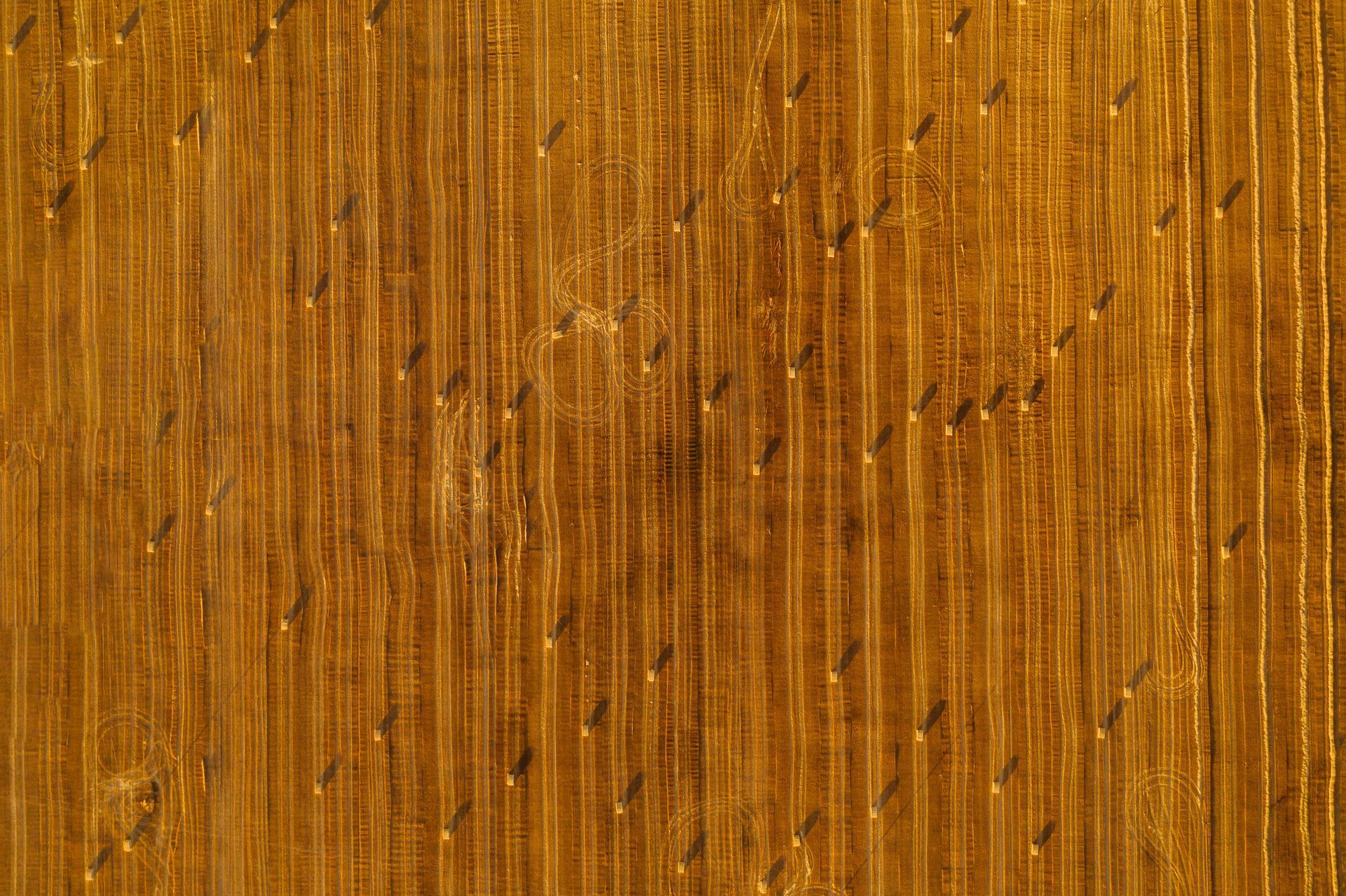 Un primer plano de un trozo de madera con una textura granulada.