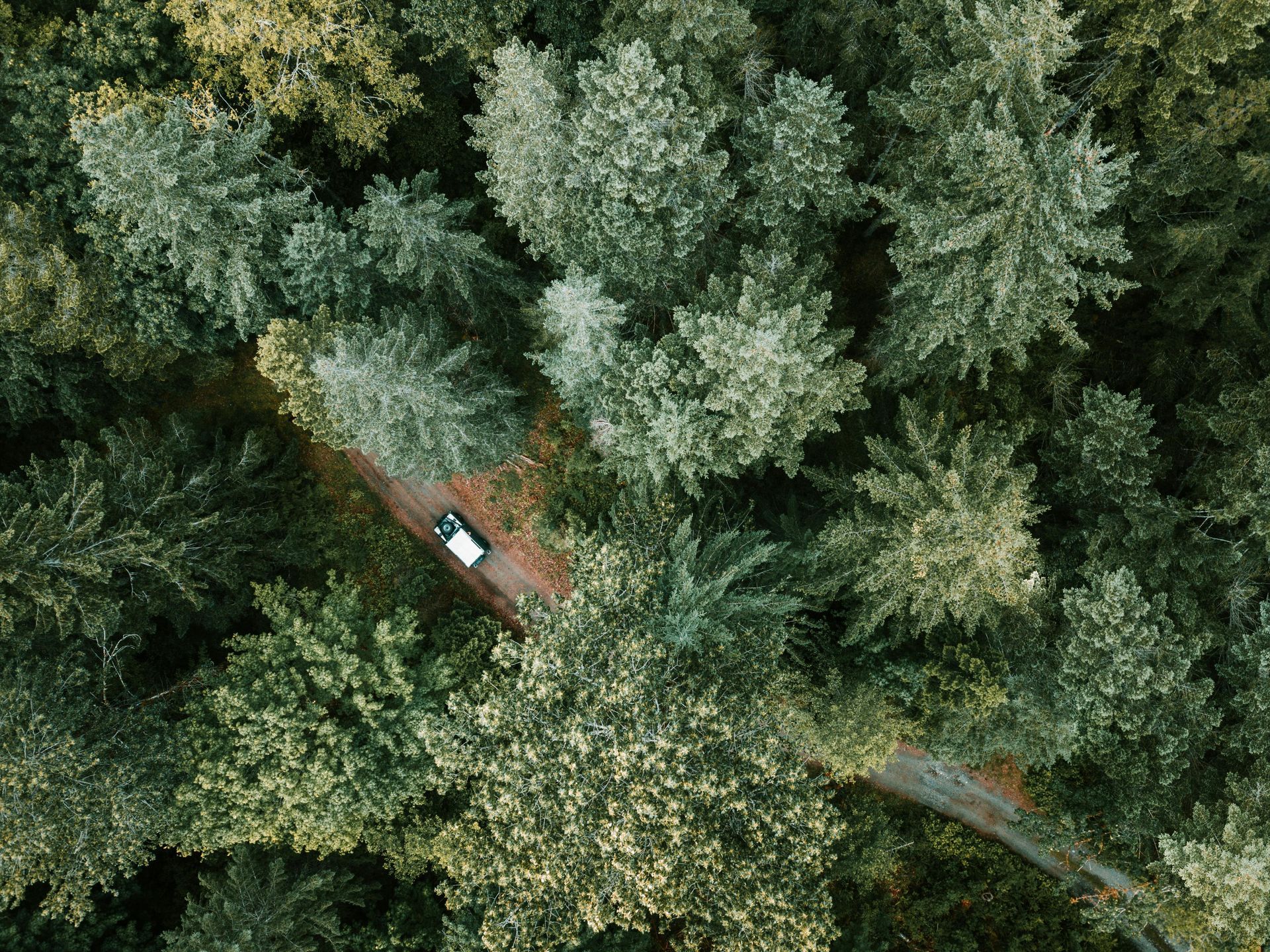 Una vista aérea de un automóvil circulando por una carretera a través de un bosque.