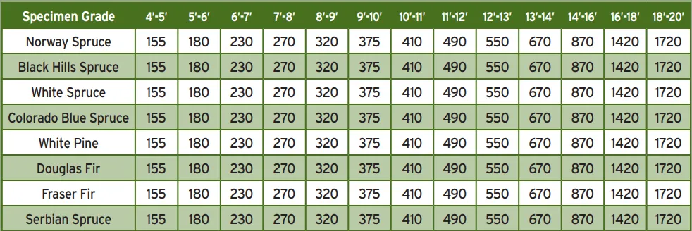 Bruce Conifers prices