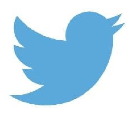 The twitter logo is a blue bird with a long beak.