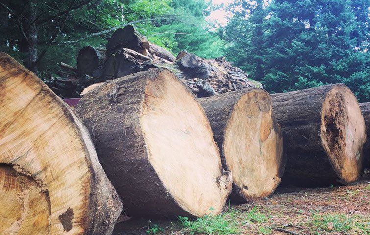 Milling Reclaimed Wood