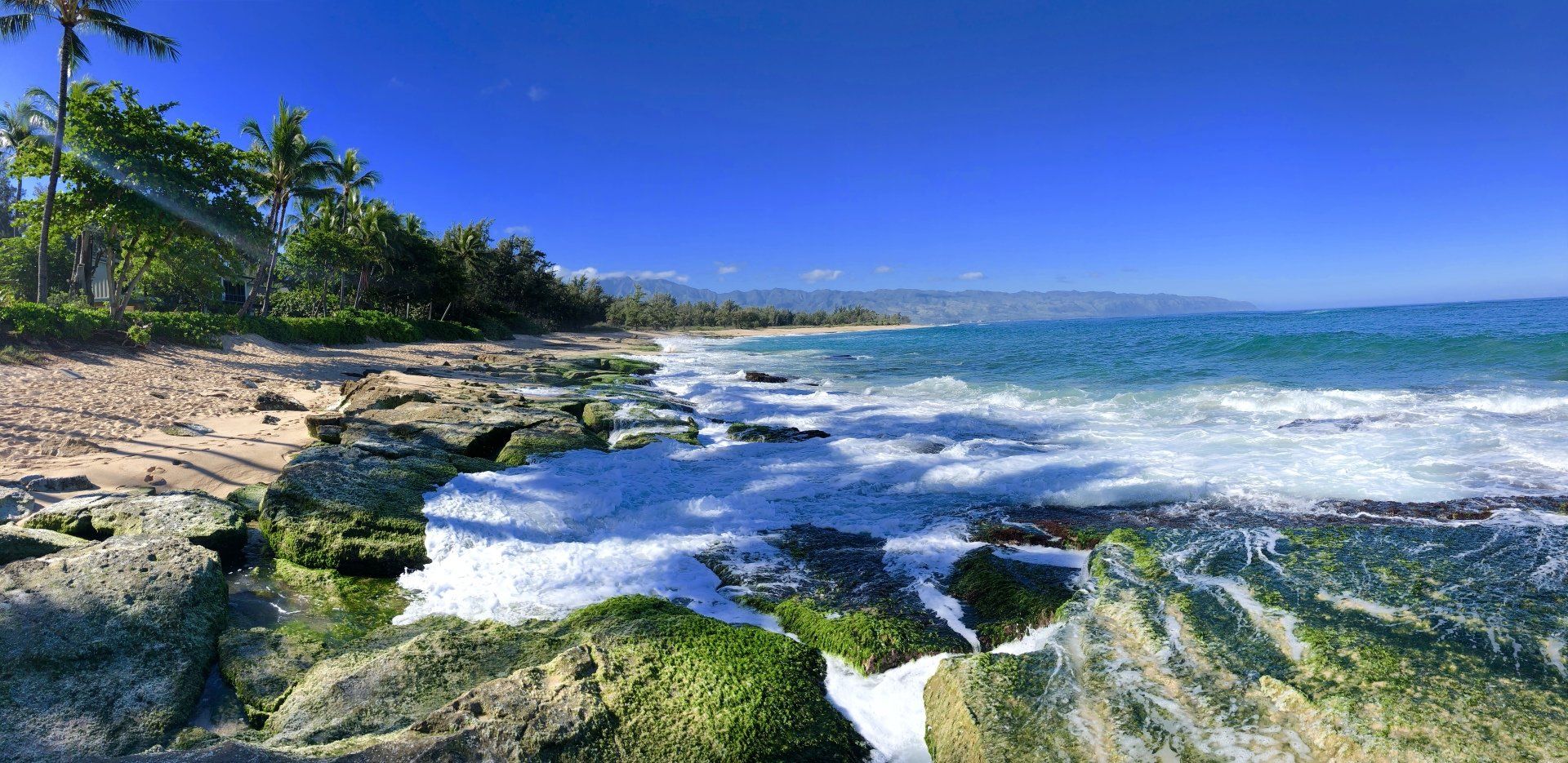 A panoramic view of a beach with palm trees and waves crashing on the rocks.