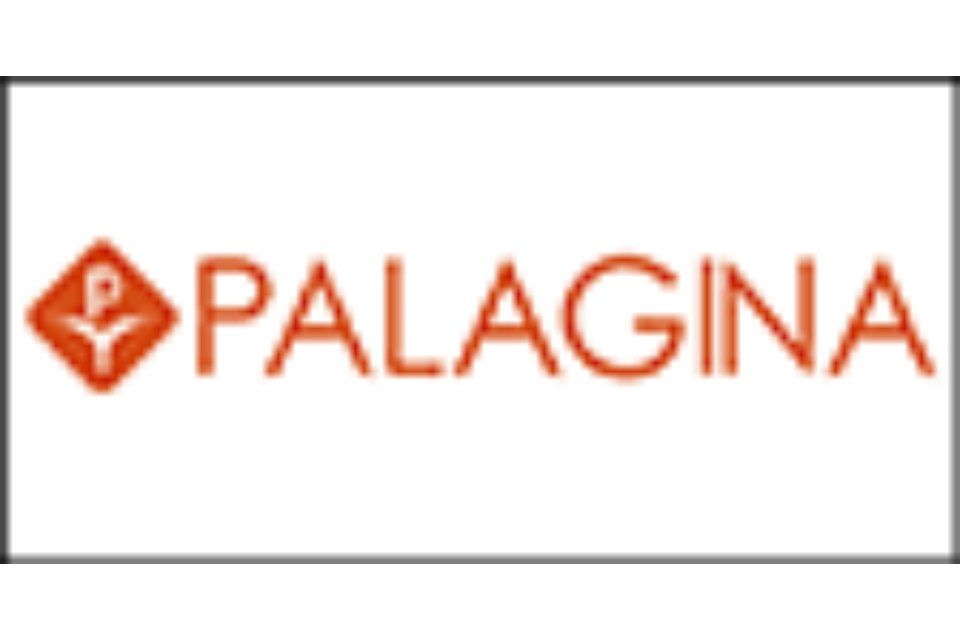 Logo Palagina
