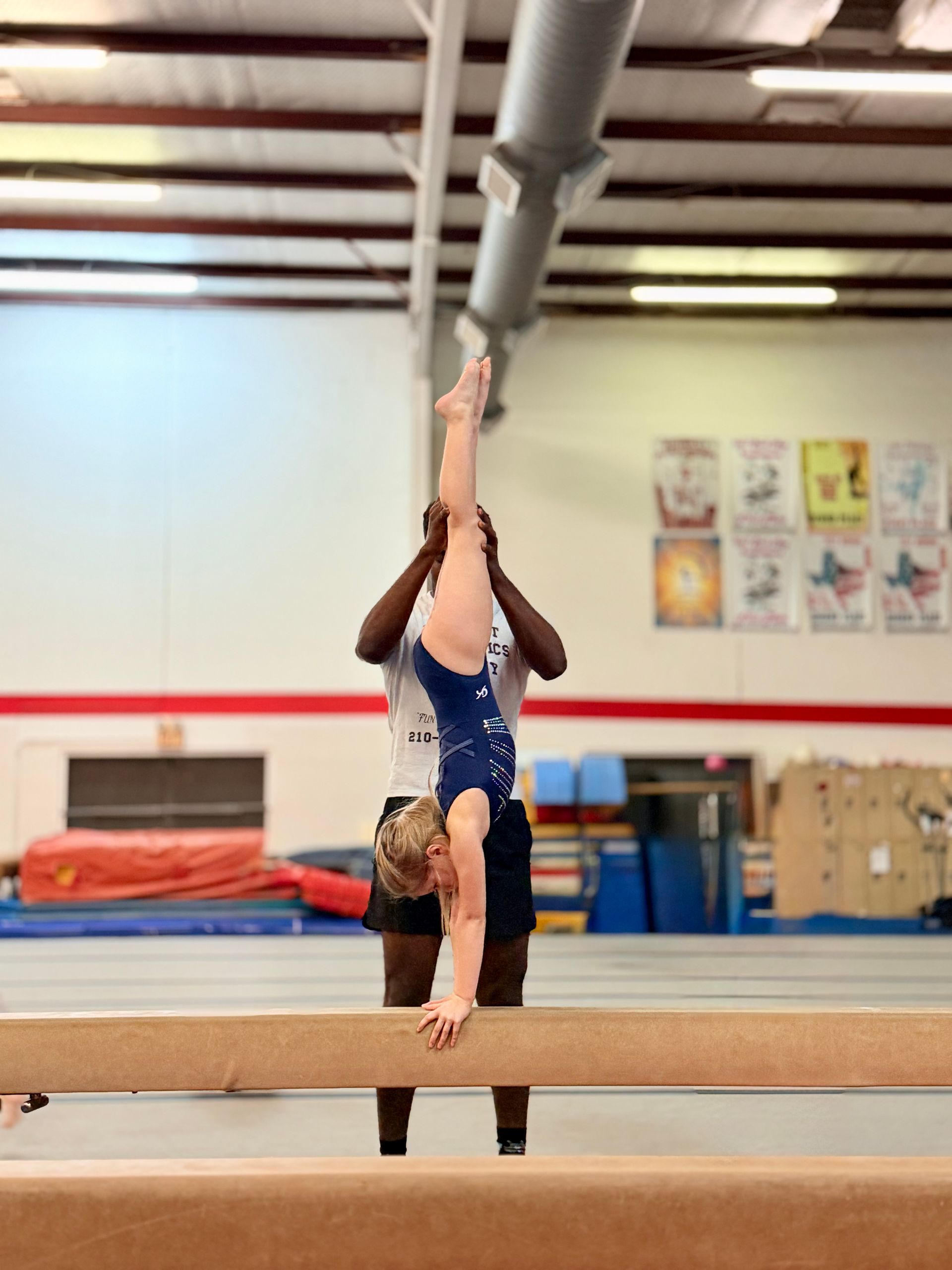 Beautiful Girls Falling in Line