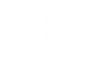 CT Logo Transparent