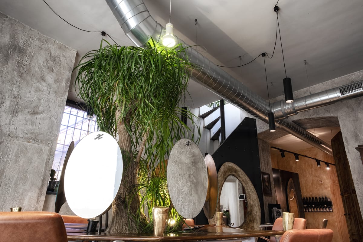 piante all'interno del negozio