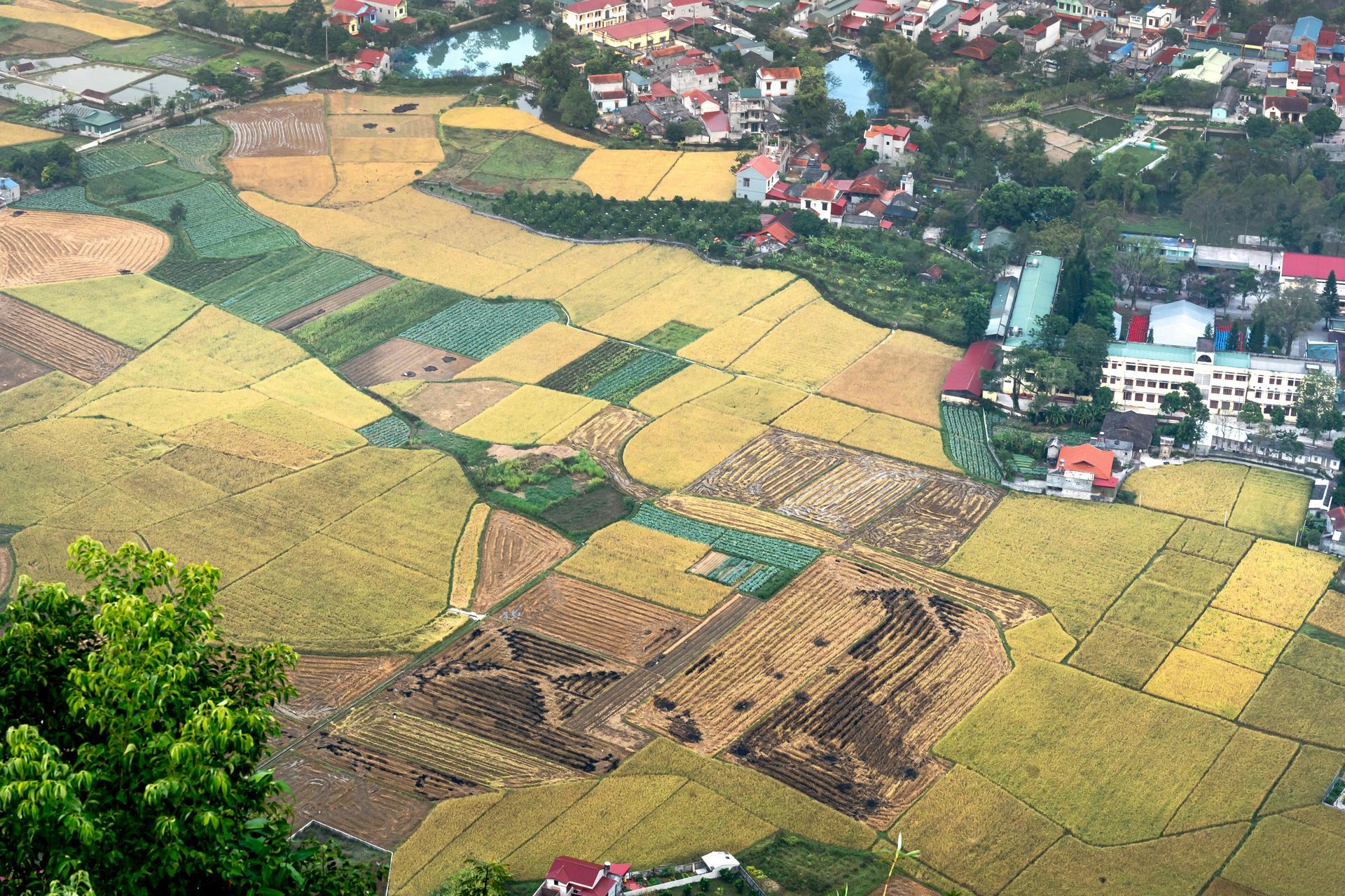 An aerial view of a lush green field with houses in the background
