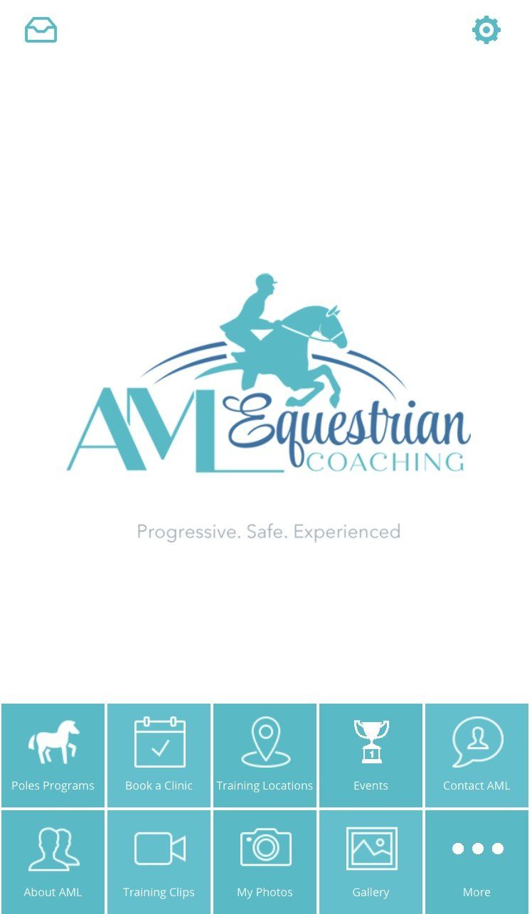 A person is riding a horse on a white background.