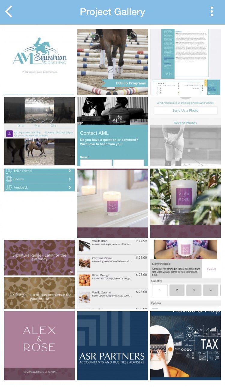 A screenshot of a project gallery on a phone