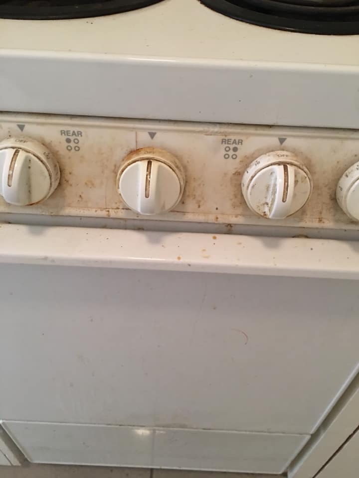 Refrigerator and Oven Cleaning