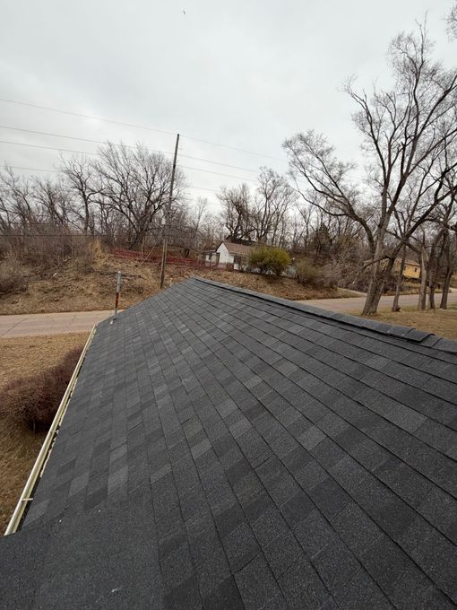Dark gray shingled roof in foreground with leafless trees and a cloudy sky beyond.