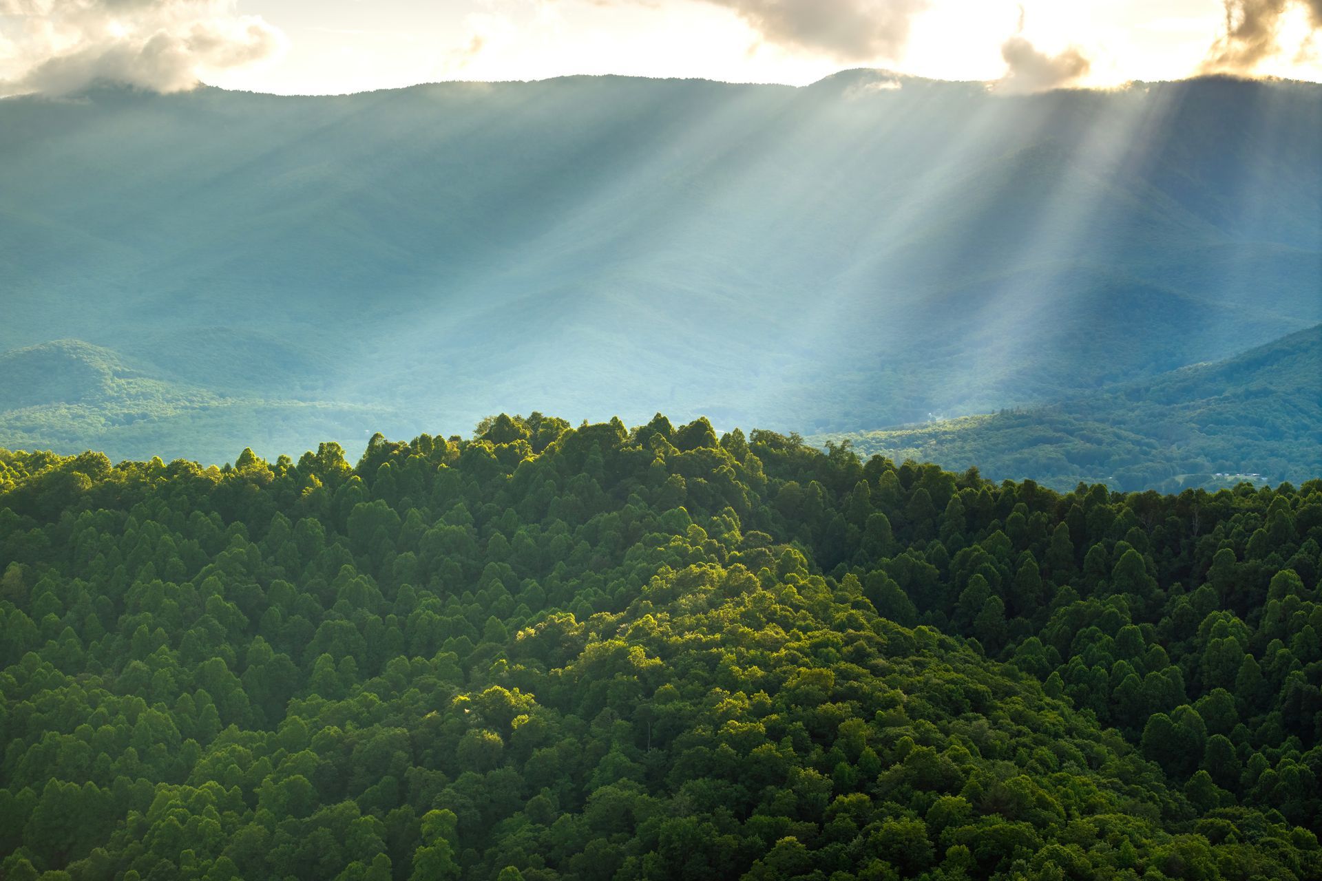The sun is shining through the clouds over a lush green forest.