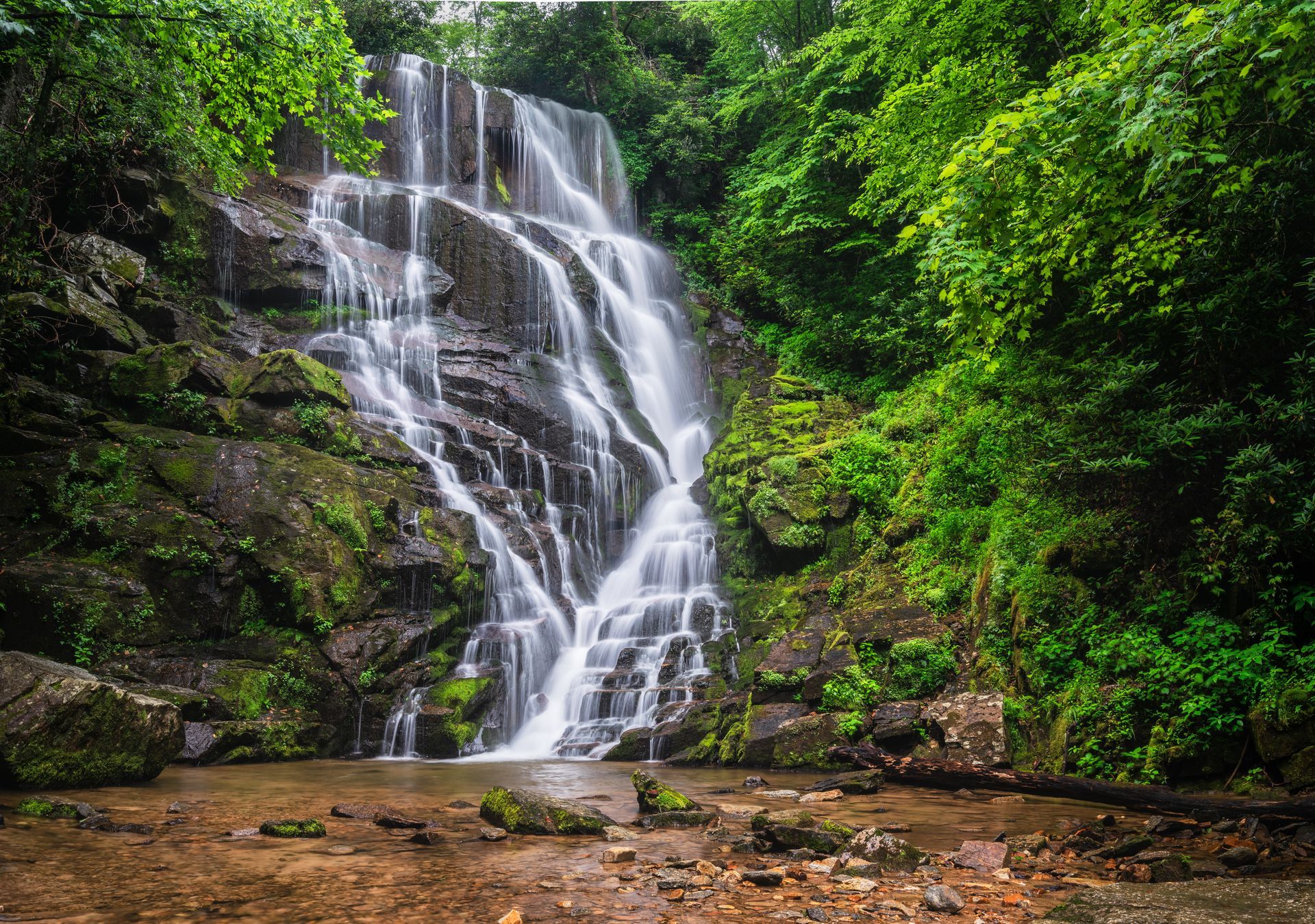 A waterfall is surrounded by trees and rocks in the middle of a forest.