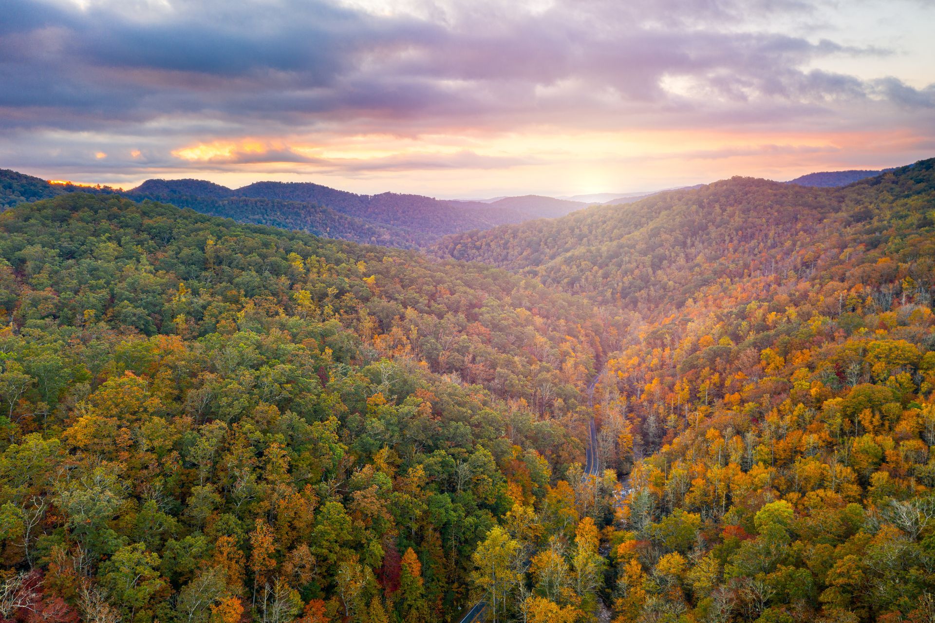 An aerial view of a forest in the mountains at sunset.