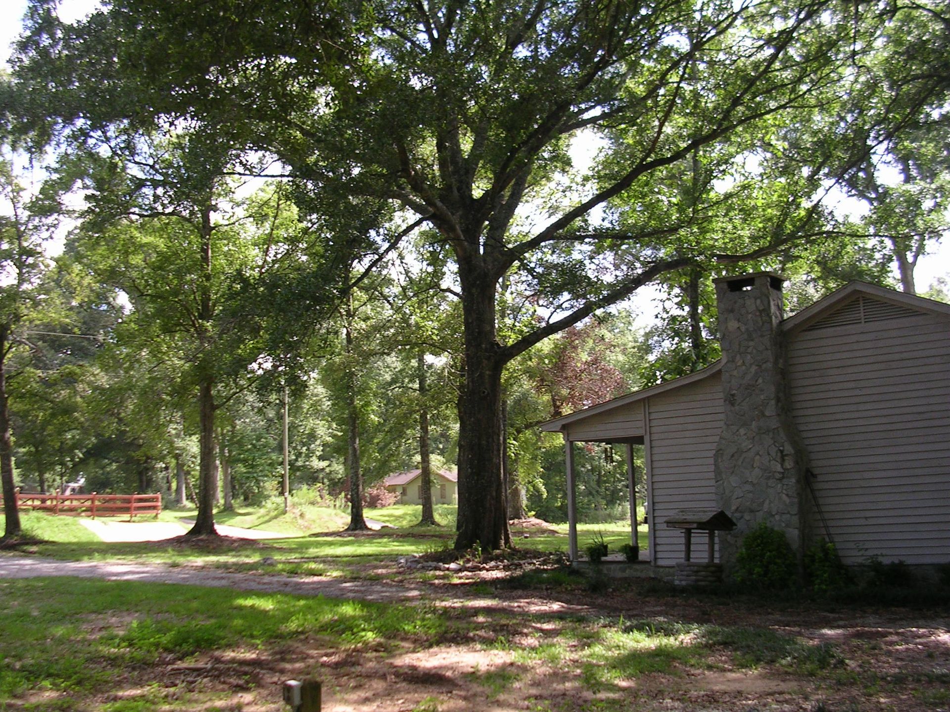 A light-colored cabin with a stone chimney sits in a sunlit, wooded area with large trees and a small wooden bridge.