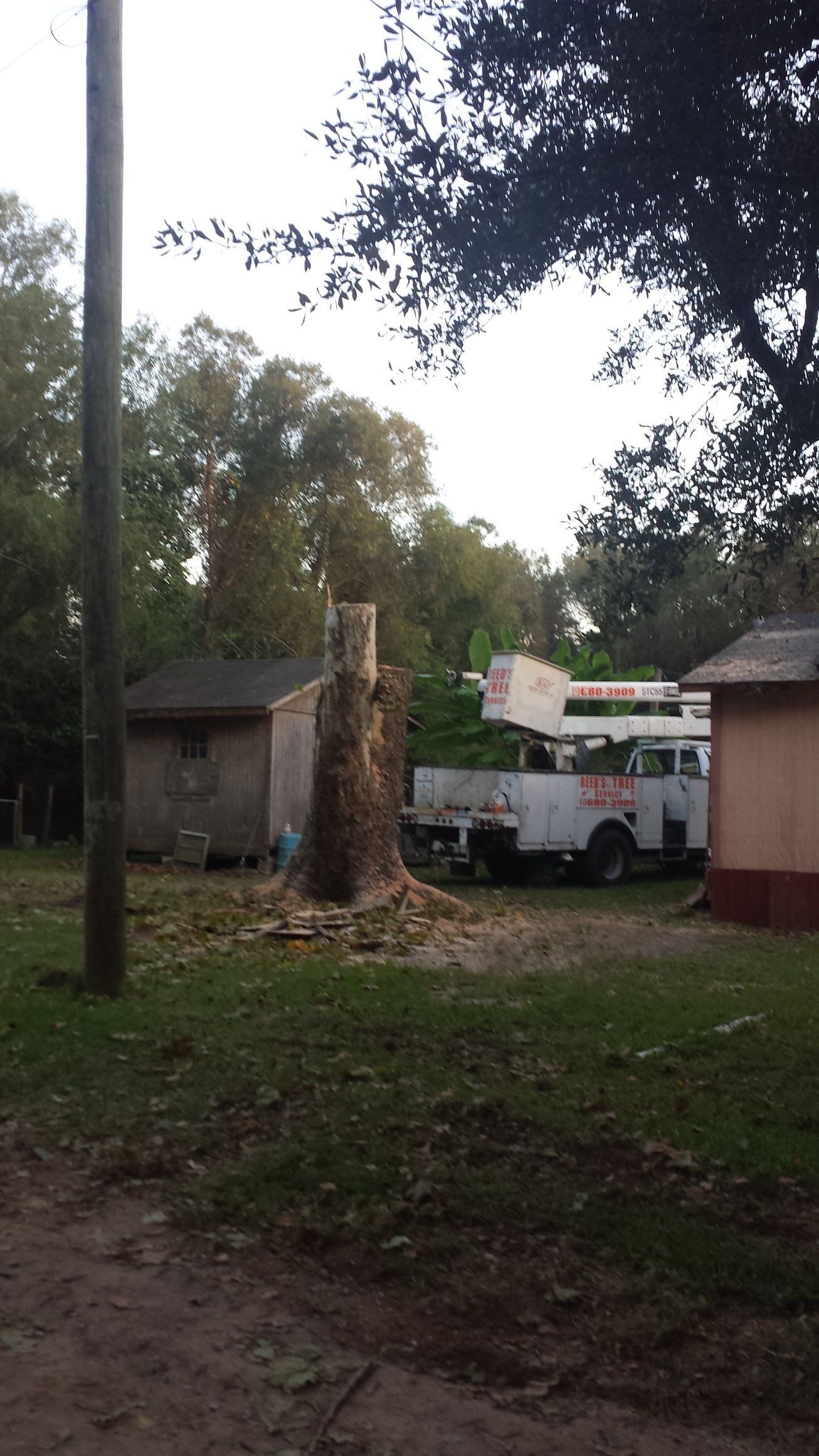 A white bucket truck is parked next to a tree stump in a grassy yard between two small buildings.