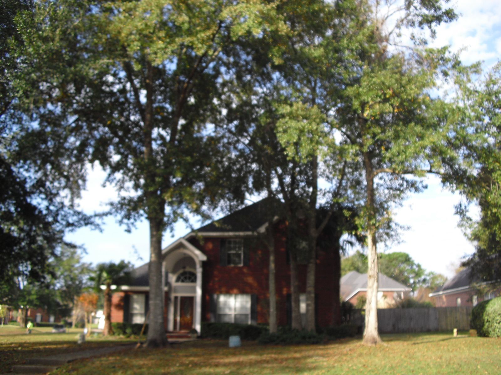Two-story brick house with trees in front, in a neighborhood setting, on a sunny day.