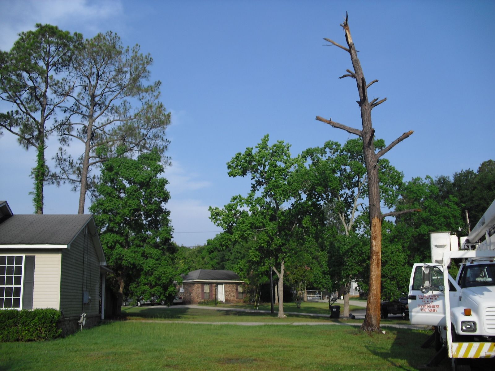 A bucket truck is parked near a dead, leafless tree in a residential yard near houses and other green trees.