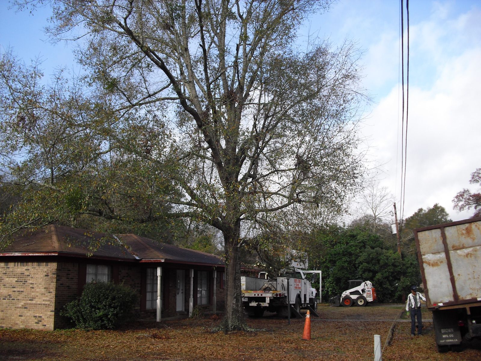 A tree care crew with trucks and heavy equipment working on a large tree in front of a house on a cloudy day.