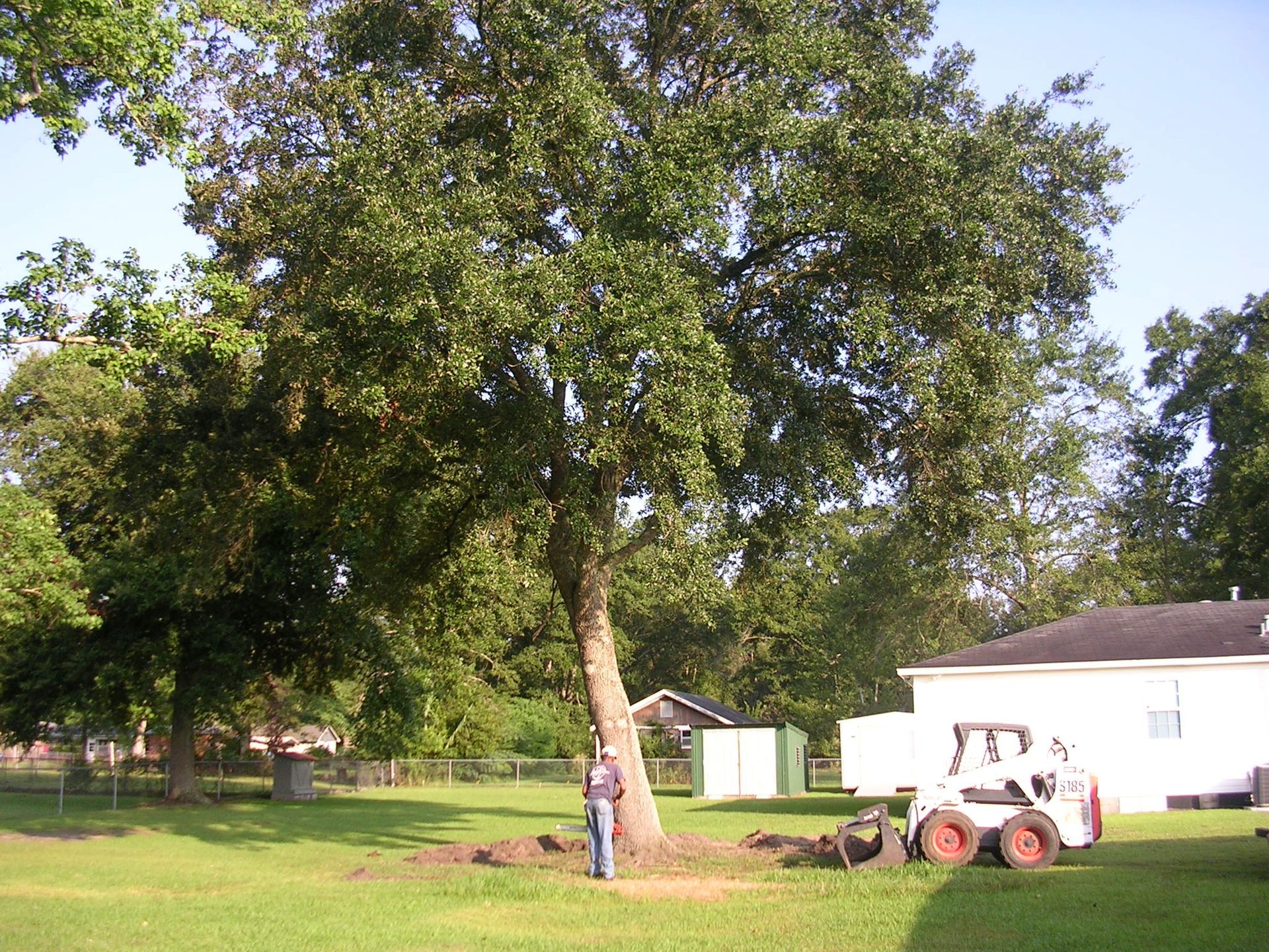 A person stands by a large tree in a grassy yard next to a white house and a small piece of construction equipment.