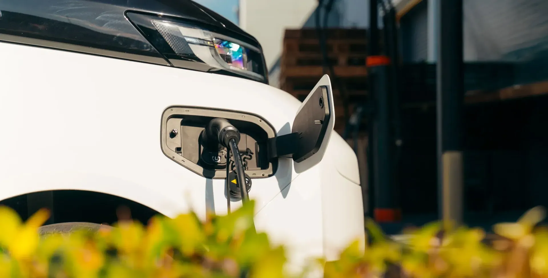 A white electric vehicle plugged into a charging station, with a charging port open and foliage in the foreground.