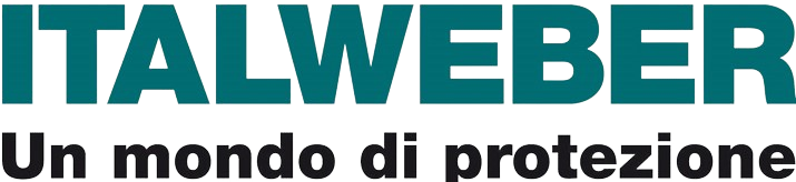 Logo in png ItalWeber